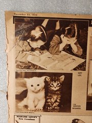 1945 « Roma Estate Wines » & « Guild Wine Sherry » Magazine Ads from Chicago Tribune
