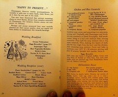 Champagne Makes a Party Booklet Taylor Wine Company Hammondsport 1950s