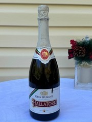 Vintage 1986 Ballatore Gran Spumante – California Sparkling Wine | 8% ABV