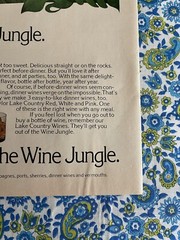 Vintage 1976 Taylor Wine Print Ad “The Way Out Of The Wine Jungle” Ad Only