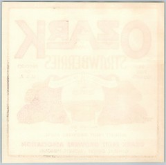 Vintage Strawberry Lable, Ozark Fruit Growers, Monett, MO 8 x 8 inches,