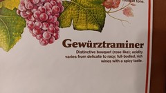Vintage Mainz West Germany Wine Stabilization Fund Grape Varieties Poster 33×23½
