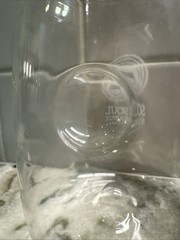 Soul Squeeze Cellars Logo Double Notch Stemless Crystal Wine Glass, 16 oz PO-LN
