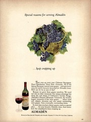 1969 Almaden Wine Premium European Grapes Vintage Magazine Print Ad/Poster