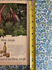 Vintage 1976 Taylor Wine Print Ad “The Way Out Of The Wine Jungle” Ad Only