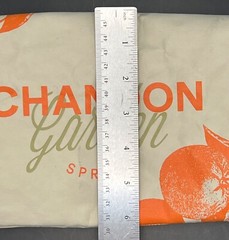 Domaine Chandon Garden Spritz Oranges Insulated Washable Paper Chiller Bag – New