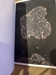 Dom Ruinart Book Catalogue Booklet Guide Born From Nature Elevated Over Time