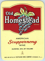 1930s-40s Old Homestead Brand American Scuppernog Wine Bottle Label F224