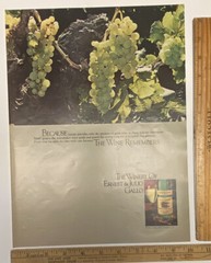Vtg Print Ad Ernest and Julio Gallo Wine Green Grapes 1970s Ephemera 13&Prime; x 9.75&Prime;