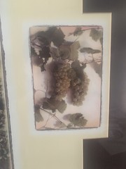 1997 Santa Barbara County California Vintners&rsquo; 15th Festival Framed Poster Wine