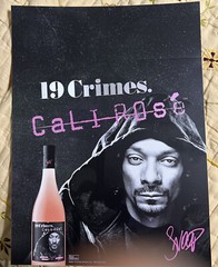 19 Crimes Cali Rose 10 by 14 case sleeve