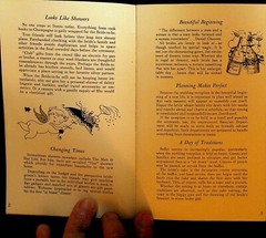 Champagne Makes a Party Booklet Taylor Wine Company Hammondsport 1950s