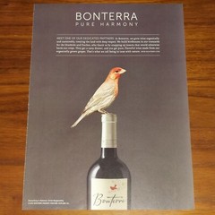BONTERRA ORGANIC VINEYARD WINE PRINT AD MAGAZINE ADVERTISEMENT PURE HARMONY