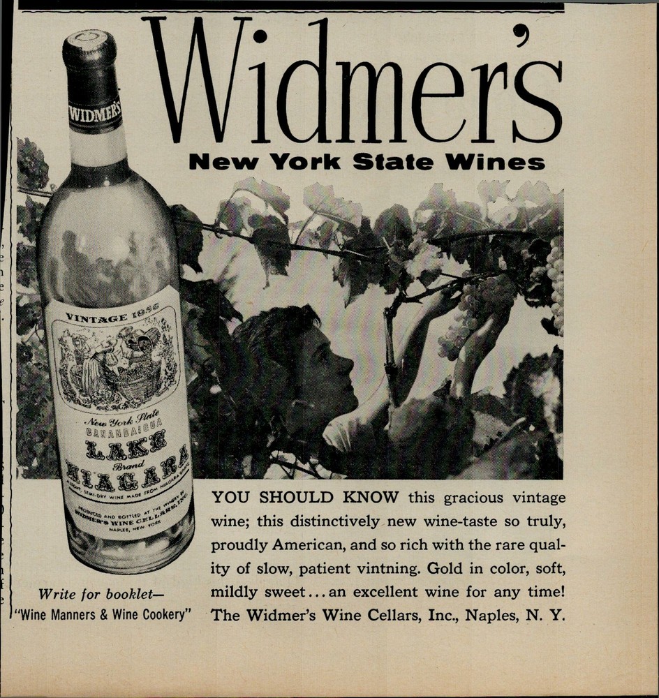 1955 Widmer&rsquo;s New York State Wine Women Plucking Grapes Vintage Print Ad 1943