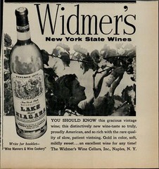 1955 Widmer&rsquo;s New York State Wine Women Plucking Grapes Vintage Print Ad 1943
