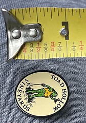 Rare Toad Hollow Vineyards Souvenir Lapel Pin Winery Vino Healdsburg California