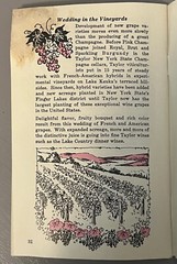 Vintage Taylor Wine Company Recipe Booklet Mixed Drink Bartender Guide 1970