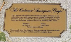 B & G Barton & Guestier Cabernet Sauvignon Grape: Bar Mirror – Framed Bar Mirror