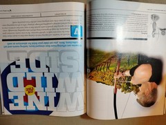 Wine Enthusiast Magazine July 2011 Issue – Great Whites of Summer 16 Wine Advent