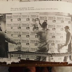 Vintage THE TAYLOR WINE CO Hammondsport NY 1955 Photographic Story 34 pgs.
