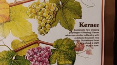 Vintage Mainz West Germany Wine Stabilization Fund Grape Varieties Poster 33×23½