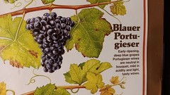 Vintage Mainz West Germany Wine Stabilization Fund Grape Varieties Poster 33×23½