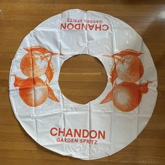Chandon Champagne/Sparkling Wine INFLATABLE TUBE Pool Toy NEW Float Snow