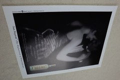 Santa Margherita Pinot Grigio Wine Print Ad Vintage Paper Magazine Clipping 2000