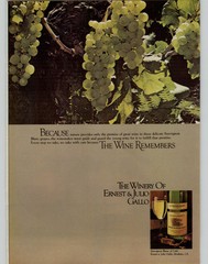 1980 Vintage Print Ad Ernest And Julio Gallo Wines Sauvignon Blanc Grapes Art