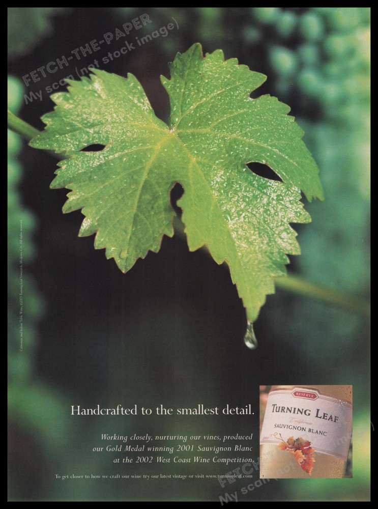 Turning Leaf Wine 2000s Print Advertisement Ad 2003 Dripping Water