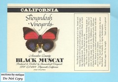Shenandoah Vineyards 1981 Black Muscat S American Butterfly Wine Label Amador CA