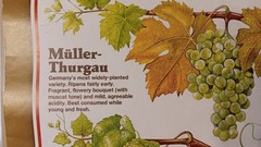 Vintage Mainz West Germany Wine Stabilization Fund Grape Varieties Poster 33×23½