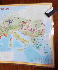 Vintage Wine Laminated Posters of Wine Regions 2 Posters: France Côtes Du Rhône