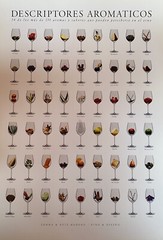 WINE AROMATIC DESCRIPTORS POSTER 50 x 70 cm DESCRIPTORES AROMATICOS SPANISH LANG