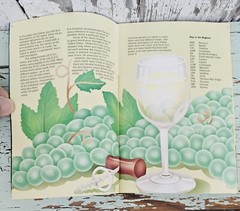 Vintage Vino Blanco Italian Wine Center 1982 Product Booklet