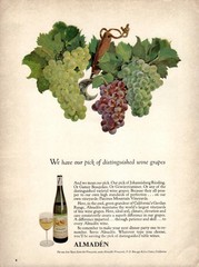 1968 Almaden Wine Premium European Grapes Riesling Vintage Magazine Print Ad