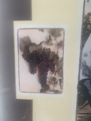 1997 Santa Barbara County California Vintners&rsquo; 15th Festival Framed Poster Wine