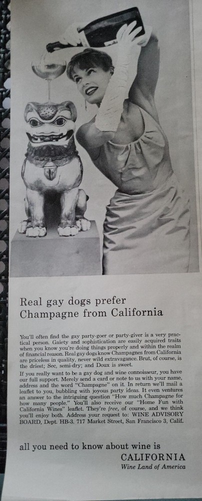 1959 wine land of america California real gay dogs prefer champagne Ad
