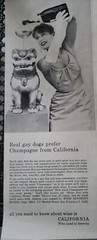 1959 wine land of america California real gay dogs prefer champagne Ad