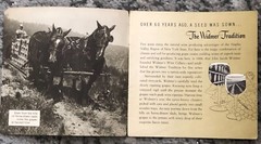 NYS WINES BOOKLET 1950&rsquo;s Vintage Original The Widmer Story New York State Wine