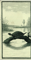 Saginaw City, Michigan Pure Wines & Liquors Medicinal Purposes Tradecard Turtle