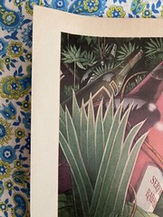 Vintage 1976 Taylor Wine Print Ad “The Way Out Of The Wine Jungle” Ad Only
