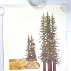 Sequoia Grove Vineyards Cabernet Vtg Poster 19×25 Napa Valley Watercolor Redwood
