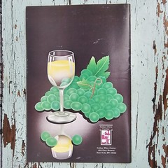 Vintage Vino Blanco Italian Wine Center 1982 Product Booklet
