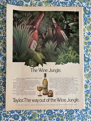 Vintage 1976 Taylor Wine Print Ad “The Way Out Of The Wine Jungle” Ad Only