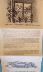 Lot of 2 Napa Cellars WINE Different Bottle Labels (1981, 1983) + 1985 Brochure