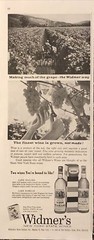 1961 Widmers New York State Wines VTG 1960s 60s PRINT AD Lake Niagara & Roselle