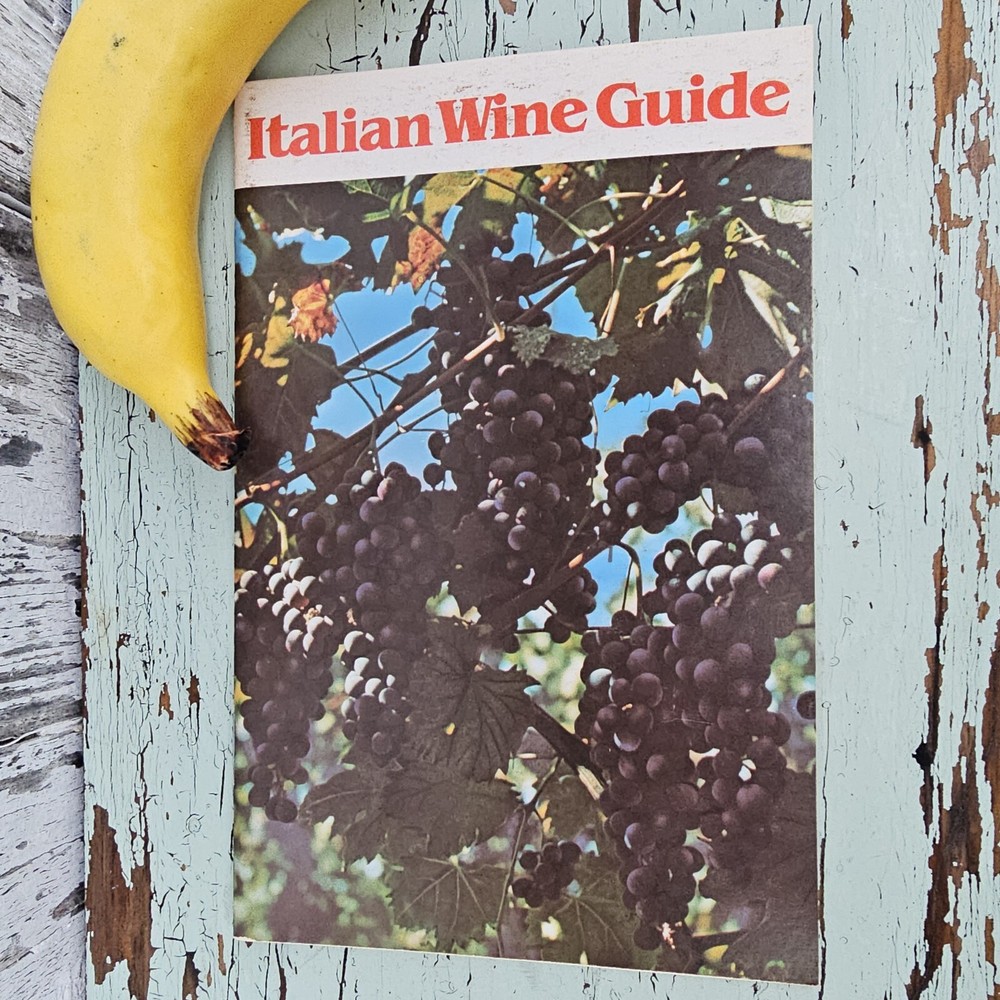Vintage Italian Wine Guide with Foldout 1982 Italian Wine Center Product Booklet