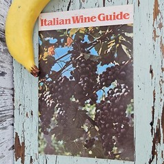Vintage Italian Wine Guide with Foldout 1982 Italian Wine Center Product Booklet