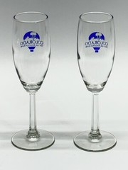 Colorado Balloon & Wine Wine Glass Set Of 2 Hot Air Balloon Rides